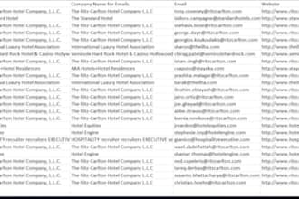 excel data cleaning, data merge, formatting and analysis