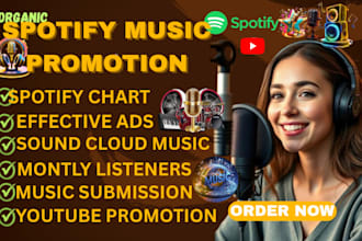 organic spotify music promotion soundcloud music youtube music promotion