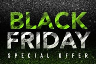 black friday shopify store setup