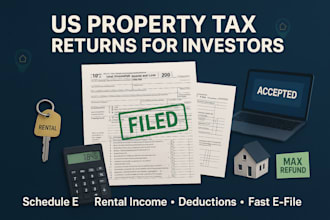 prepare US property tax returns, income tax, and filing for investors
