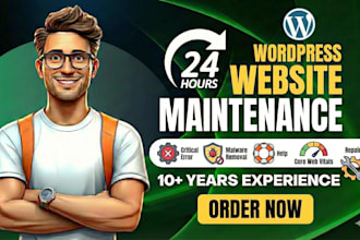 fix wordpress critical error, malware removal, help, and core web vitals repair