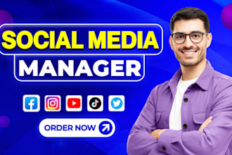 do facebook ads campaign, instagram ads campaign, meta ad manager, marketing
