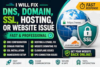 fix dns, SSL and website issues professionally