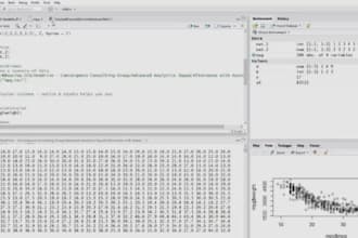 do r coding, programming, python, machine learning  and sas