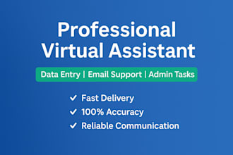 be your virtual assistant for data entry, scheduling, and excel tasks