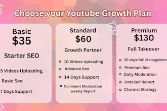 manage, optimize, and upload your youtube videos for fast growth