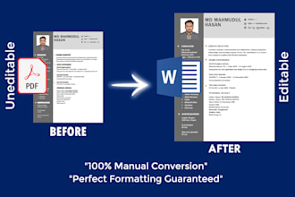 convert PDF resume or CV to fully editable ms word document