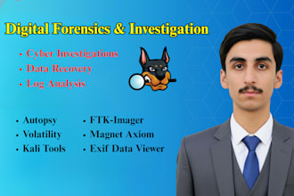 do digital forensics, cyber investigation and malware analysis