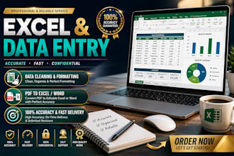 do data entry, excel cleaning, PDF typing and copy paste wrk