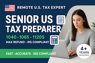 provide expert US tax filing and irs issue resolution