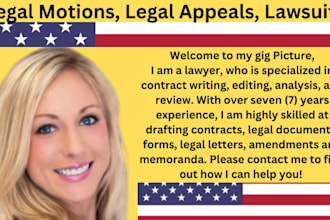 draft professional court documents, motions, and legal pleadings