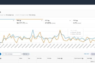 amazon PPC expert for profitable growth and results