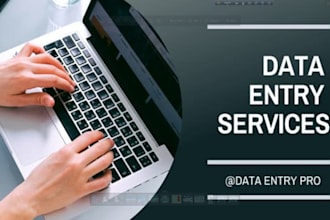 do accurate data entry and copy paste tasks