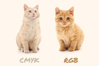 convert your files from rgb to cmyk for perfect printing