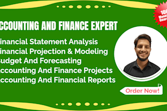 financial projections, excel projects, accounting and finance project