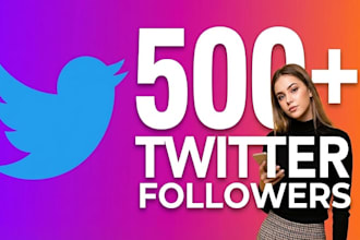 500 twitter followers as your need