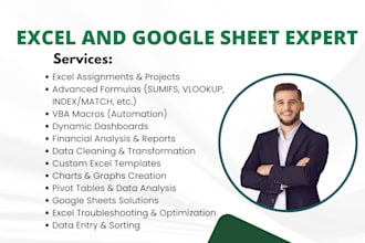 solve microsoft excel assignments, projects with advanced formulas and dashboard