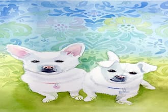 design a custom disney pet portrait illustration