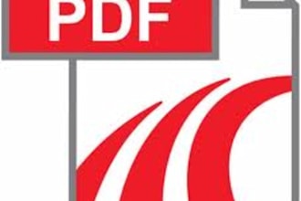 format a word document into a pdf with very professional layout