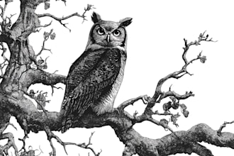 create a black and white pen and ink illustration