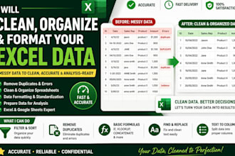clean organize and format your excel spreadsheet data or data entry