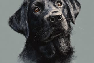design custom disney pet portrait