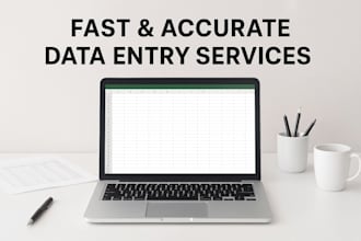 fast and accurate data entry and excel specialist
