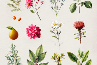 illustrate best botanical illustration
