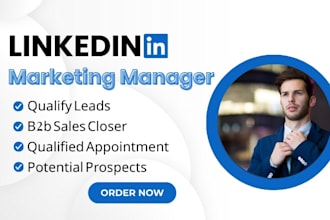 be your linkedin marketing manager, b2b b2c appointment setter