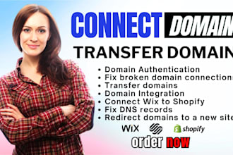 setup domain connect  transfer domain to your website