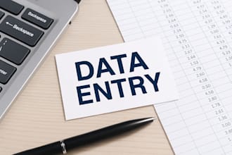 professional data entry and excel services
