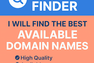 domain finder  domain name consultant