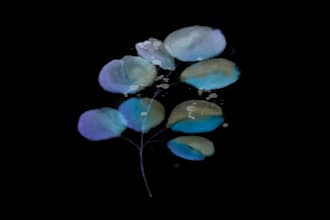 create modern minimalist and water color logo