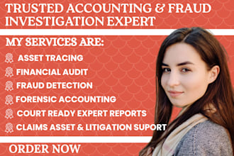deliver fraud detection, asset tracing, forensic reports and litigation support