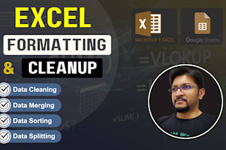 provide excel formatting and cleanup your spreadsheet data