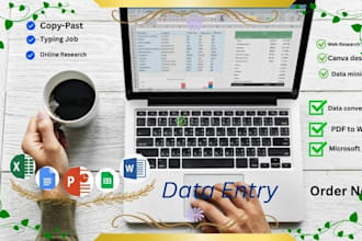 provide fast and accurate data entry services
