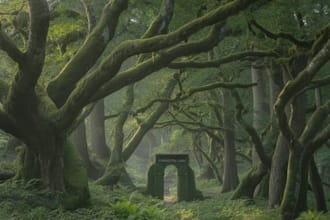 do photorealistic background for films and game