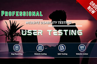 test your website for bugs, usability, and user experience