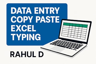 do accurate data entry copy paste typing work and excel data entry