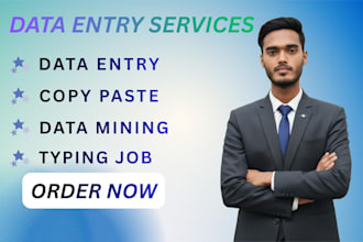 do data entry, copy paste, data scraping, data mining, pdf to excel