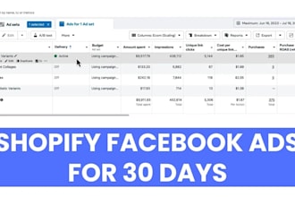 run shopify and meta ads campaigns