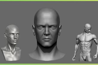 scrulpt 3d head model, 3d bust model, 3d full body for 3d printing