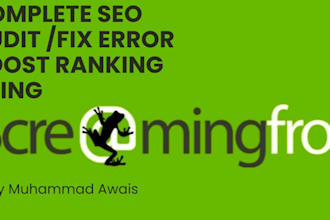 perform an in depth website audit with on page technical