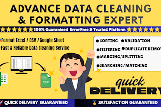 do professionally clean, format, organize, spreadsheet data