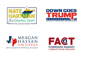 design political politics law political campaign logo