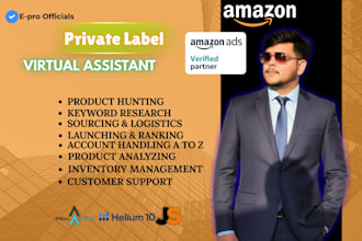 manage and grow your amazon fba and fbm store for pl oa and PPC