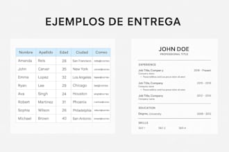 realizaré carga de datos rápida y precisa, excel,  y soporte adm