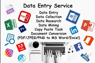 do copy paste, data entry and file conversion