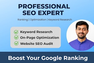 do professional SEO for higher google ranking