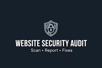 perform a professional website security audit and vulnerability scan